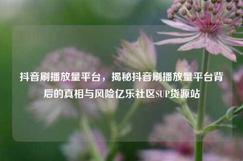 抖音刷播放量平台	，揭秘抖音刷播放量平台背后的真相与风险亿乐社区SUP货源站  第1张