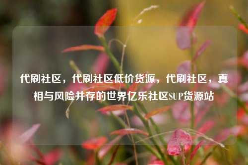 代刷社区，代刷社区低价货源	，代刷社区，真相与风险并存的世界亿乐社区SUP货源站  第1张